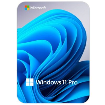 Microsoft Windows 11 Pro Professional
