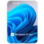 Microsoft Windows 11 Pro Professional